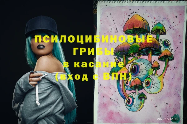 твердый Алзамай